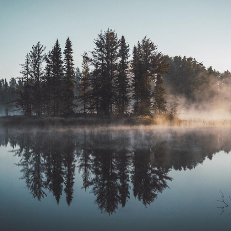 Alpine wilderness landscape